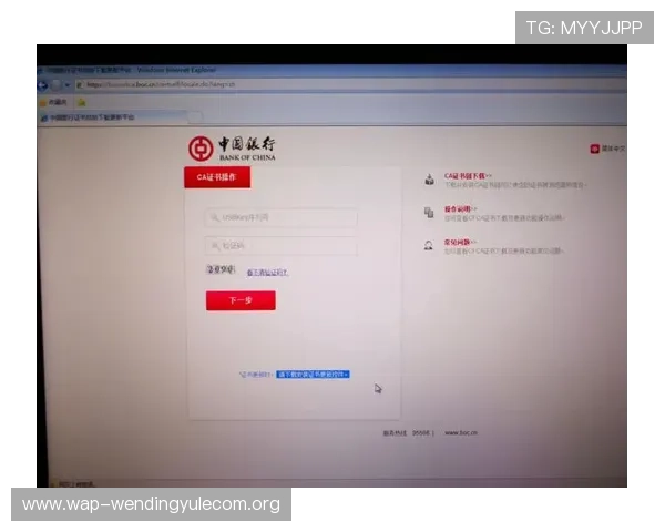 问鼎官网登录入口操作流程详解，新手也能轻松完成登录步骤
